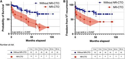 Non-revascularized chronic total occlusions impact on substrate and post-ablation results in drug-refractory electrical storm